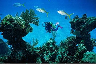 《赵云传重制版》三大女主设定图 12月29日定向封测